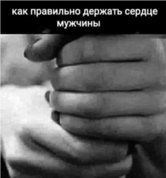 Так себе картинки 26.07.22