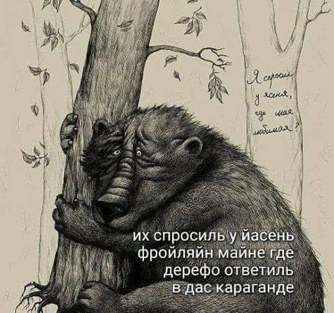 Пятница. Вечер. Картинки всякие #15