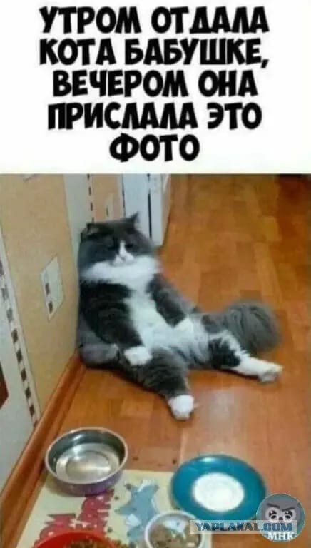 50 оттенков серого если самосвал баянов.  Vol.23