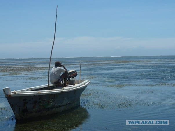 AFRICA - (Эфиопия,Кения,Танзация) 4-16 ноября 2011