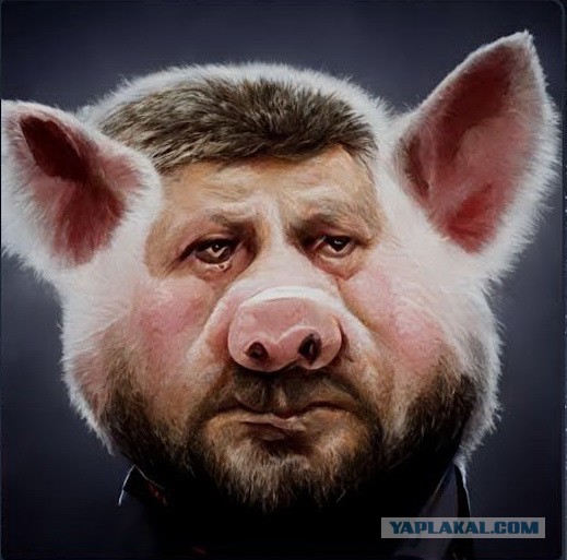 Не помогла "братская помощь", трюкачи бежали.