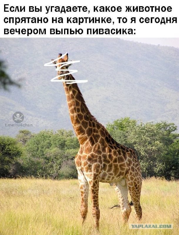 Картинки и мемы, это май-чародей всяко разно - 177