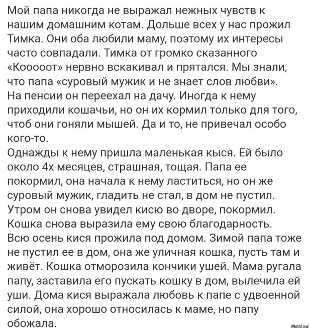 Забавные комментарии из социальных сетей (19.06.23)