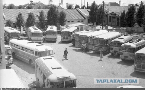 Одна история очумительнее другой