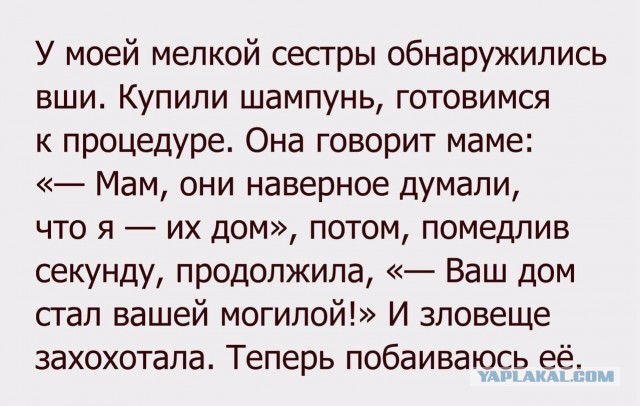Забавные комментарии из социальных сетей (07.08.23)