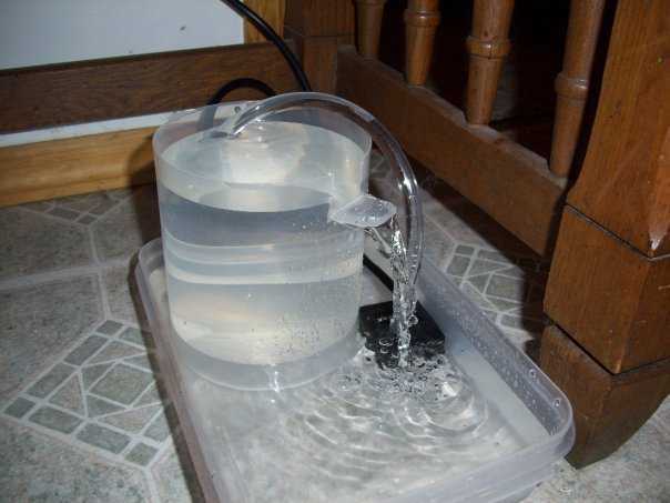 Купила коту водопад