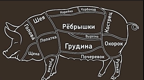 Подкаченные дамы в тренажёрном зале