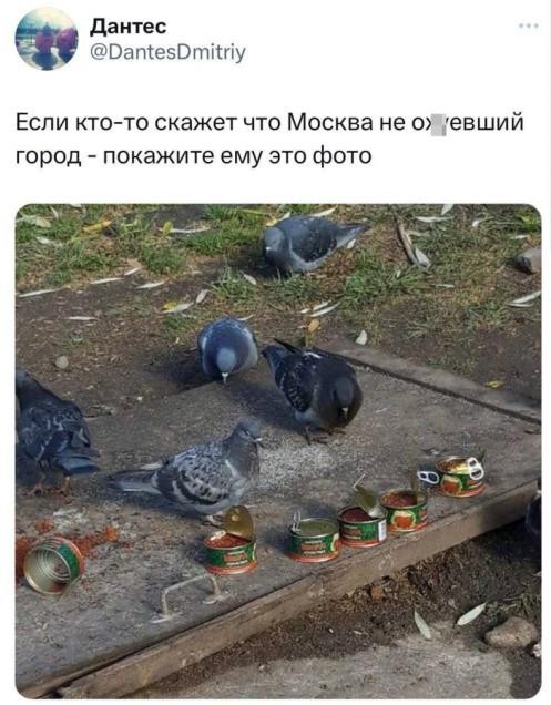 Прошаренный москвич заявил в полицию на девушку, которая ушла со свидания, не оплатив счёт.