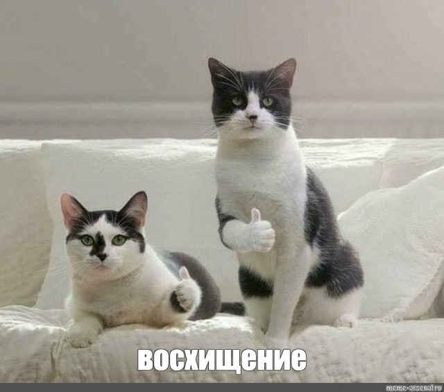 Плюсик в карму тебе, добрый человек!