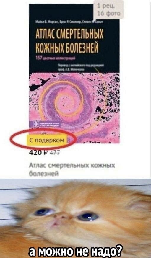 Деградильня