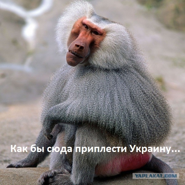 В Волгограде установили кофейный аппарат с самообслуживанием