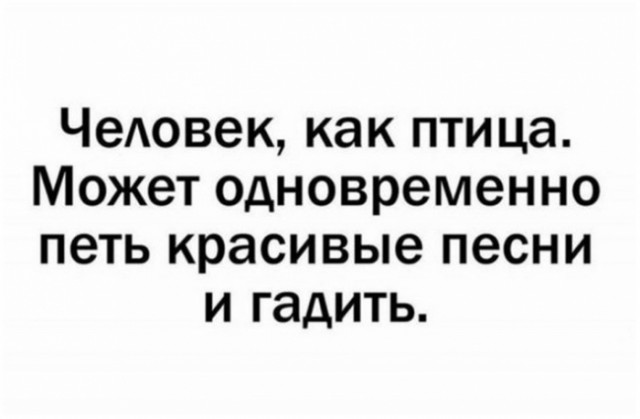 Посол Израиля в ООН во время Генеральной Ассамблеи отправил Устав ООН в шредер