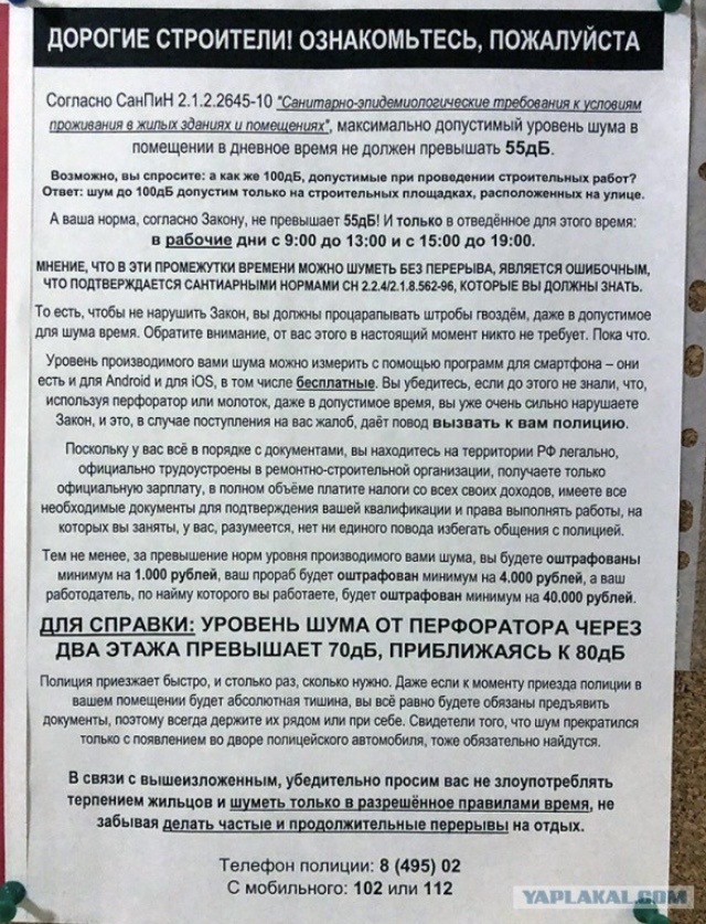 Кот суетолог.