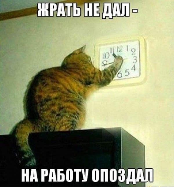 Завалялось тут случайно немного забавных картинок
