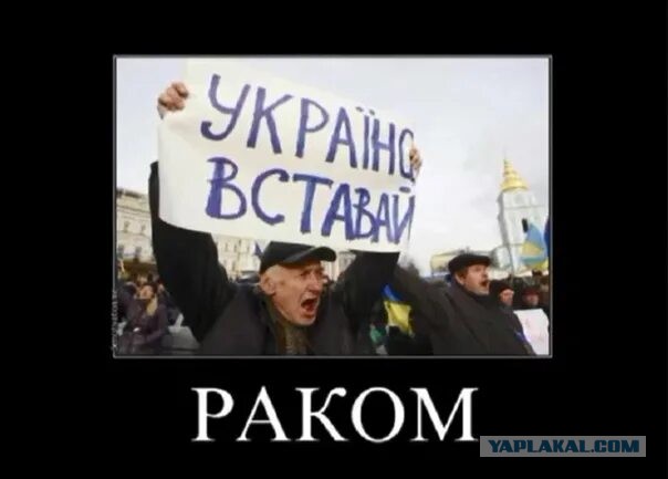 В чём сильна армия КНДР и как северокорейцы могут пригодиться на СВО?