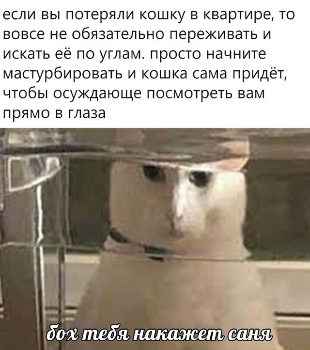 Веселые картинки в понедельник (03.03)