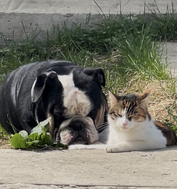 Запределье. Лента