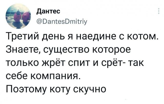 Веселые картинки в среду, практически пятницу 30.04