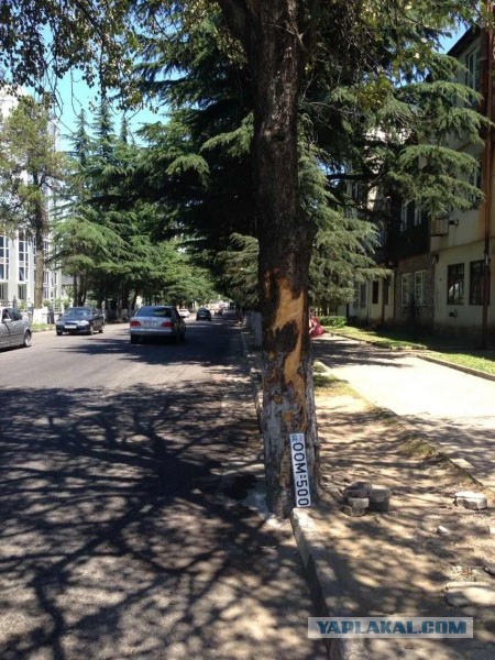 Погиб Георгий Тевзадзе