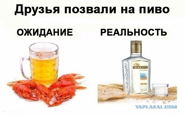 1 августа Международный день пива