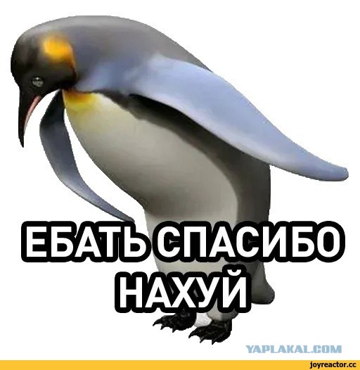 Про то, что забыли