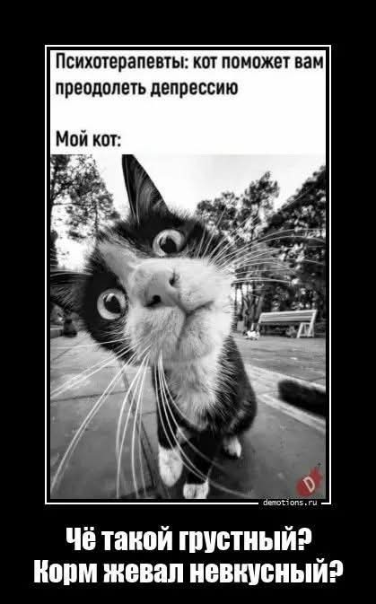 Среды картинки