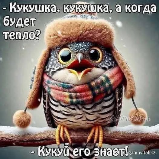 Картиночки, баянчики 04 февраля