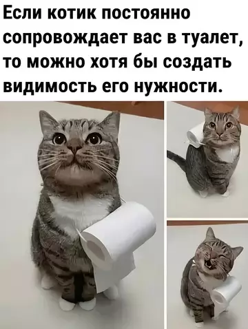 Картиночки, баянчики 25 февраля