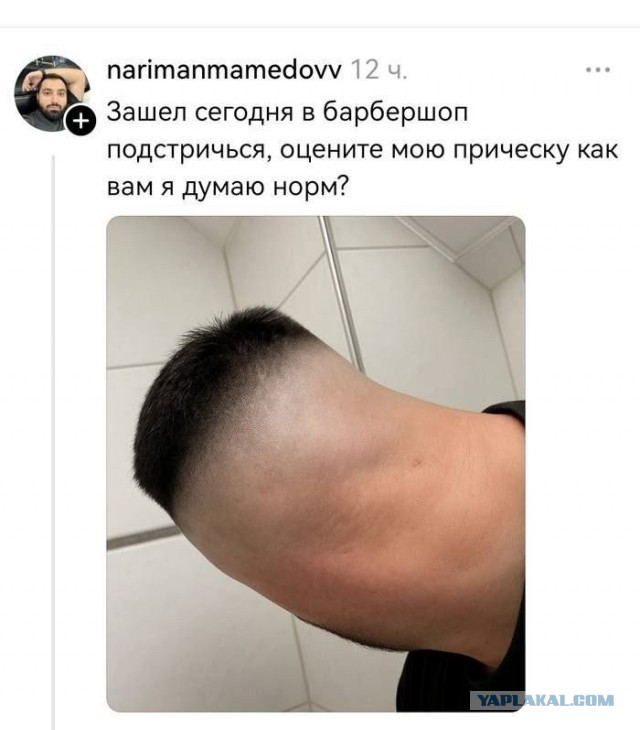 Картиночки, баянчики 11 мая