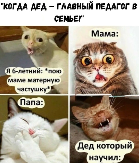 Отец Пикчерз представляет