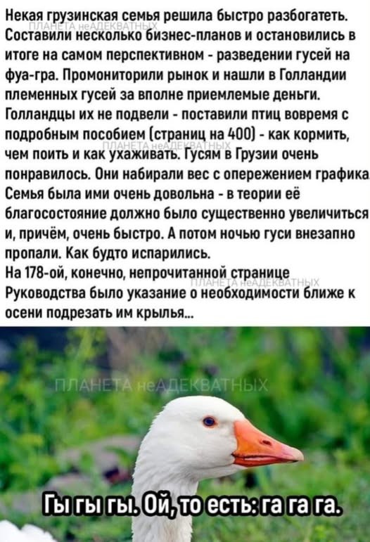 Картинки на среду