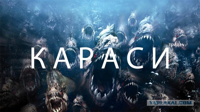 Этот чёрт совсем берега попутал, будем его мочить