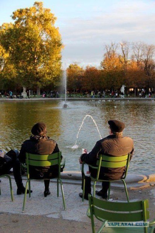 11 самых популярных фотомемов в интернете