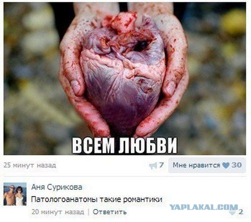 Смешные комментарии из социальных сетей