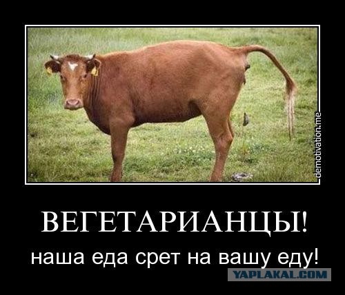 Как заставить веганов себя ненавидеть.