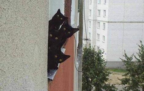 Не про олимпиаду