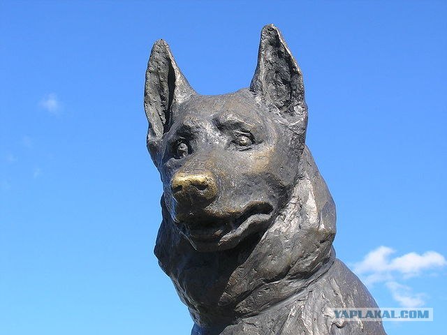 Потри памятник и будет тебе счастье.