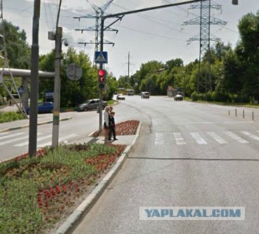 Газельваген наказал нахала