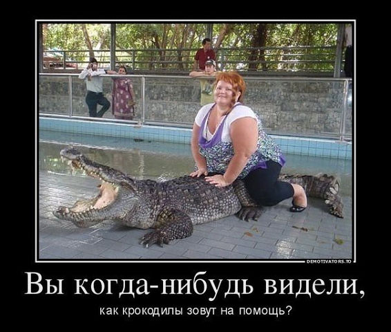 Немного позитива на пятницу.
