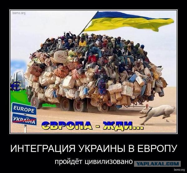 На злобу дня