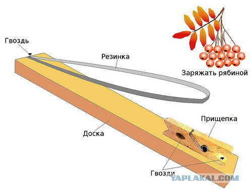 Все модели оружия из детства на одном фото.