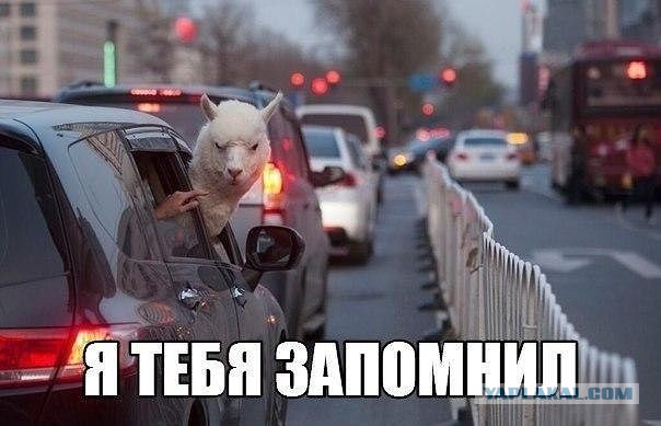Веселая подборка