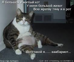 Эталон лживой шалавы