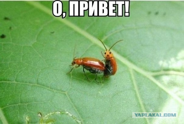 Позитивные картинки