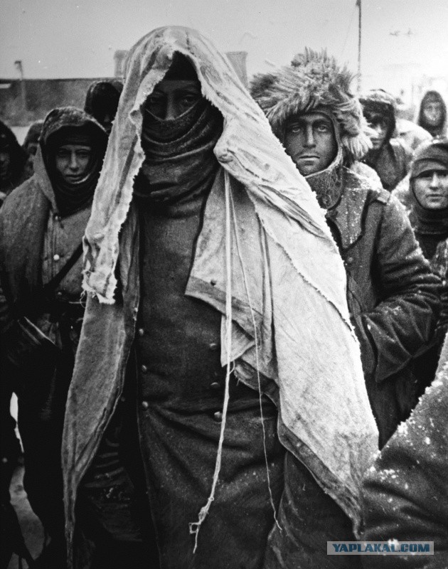 Как сдавались в плен во Второй мировой войне