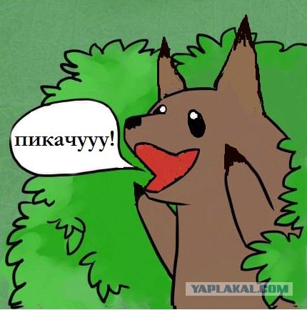 Новая подборка от Мадам Фортуны