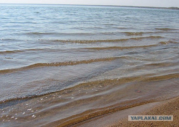 ЯРОВОЕ - "Пересоленое Сибирское море"