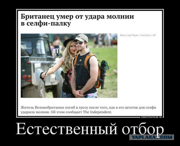 Небольшая подборка демотиваторов