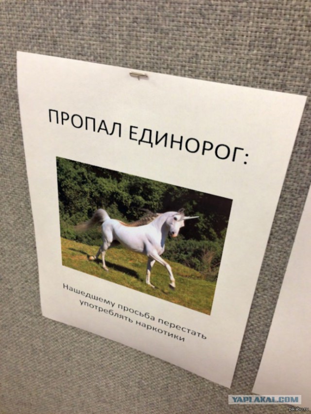 Надписи, вывески, объявления и другие буквы