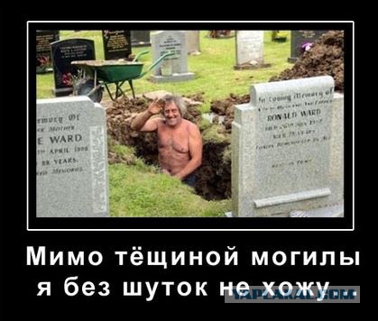 Правдивая история